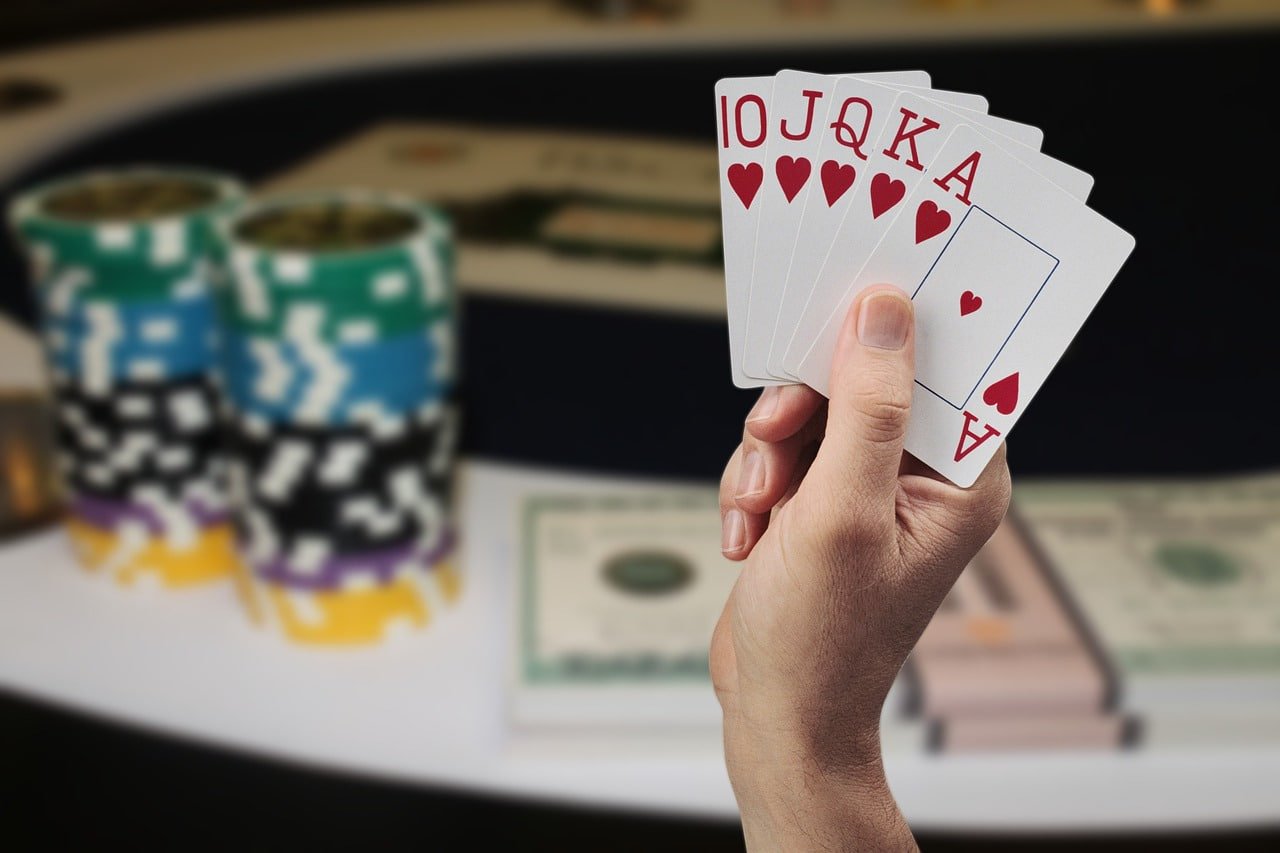 Pengingat bermain bertanggung jawab di bibit77